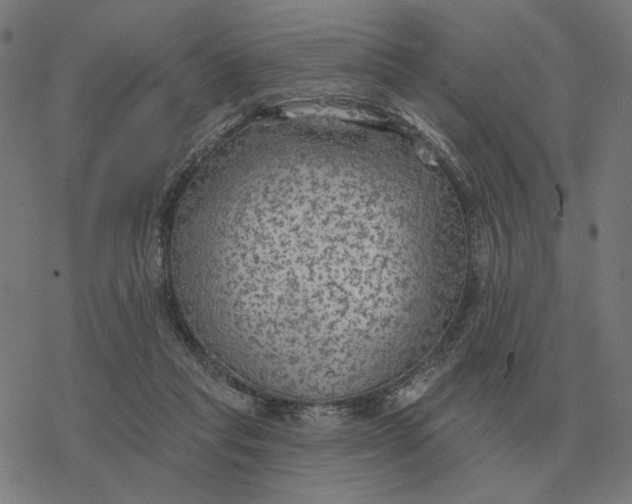 X0000077320261200611101505