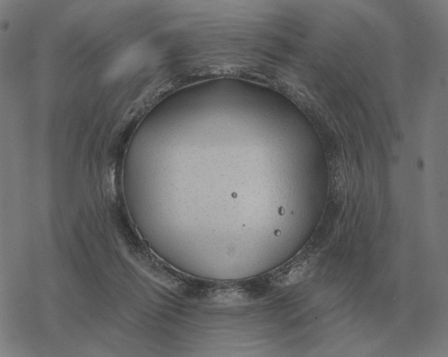 X0000077320262200611101505