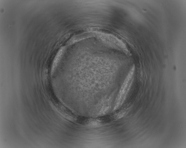 X0000077320263200611101505