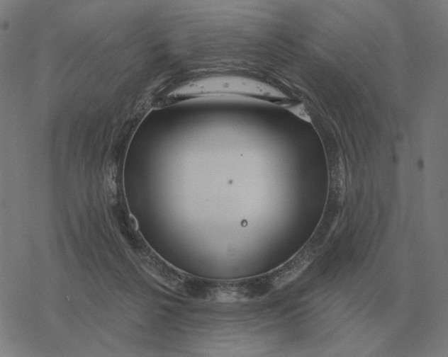 X0000077320264200611101505