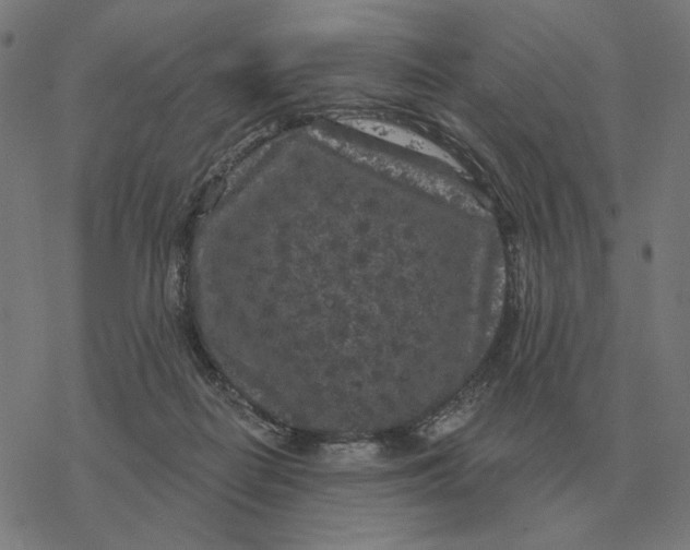 X0000077320266200611101505