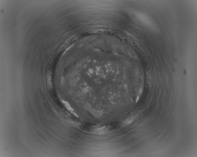 X0000077320267200611101505