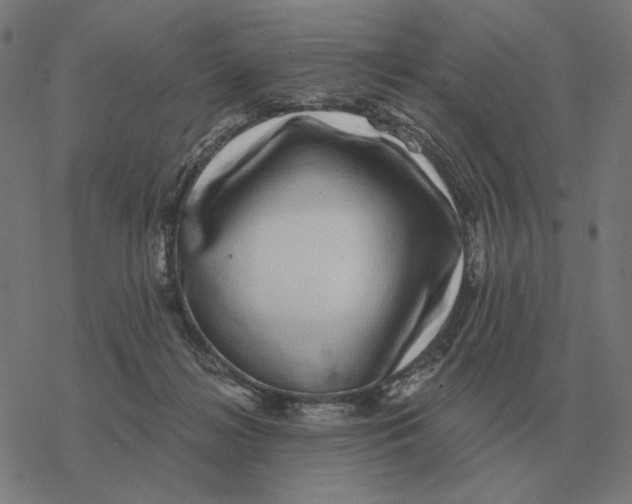 X0000077320268200611101505