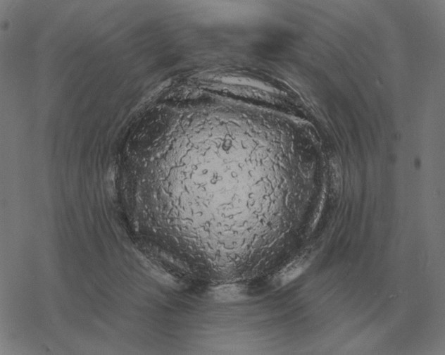 X0000077320269200611101505