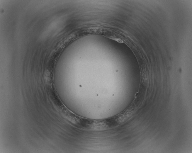 X0000077320270200611101505