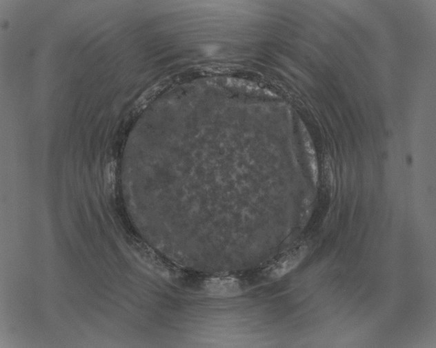 X0000077320271200611101505