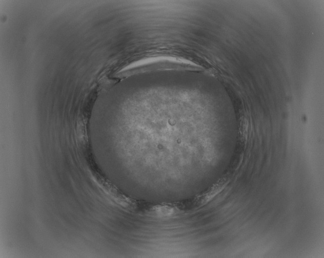 X0000077320272200611101505