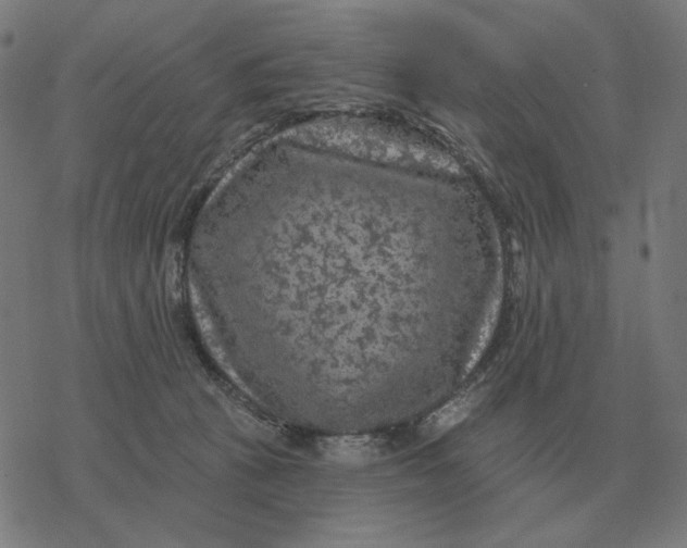 X0000077320273200611101505