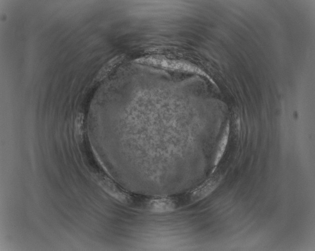 X0000077320275200611101506