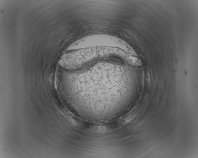 X0000077320276200611101506