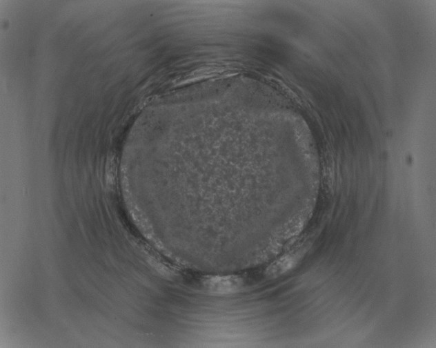 X0000077320277200611101506