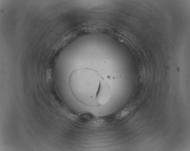 X0000077320278200611101506