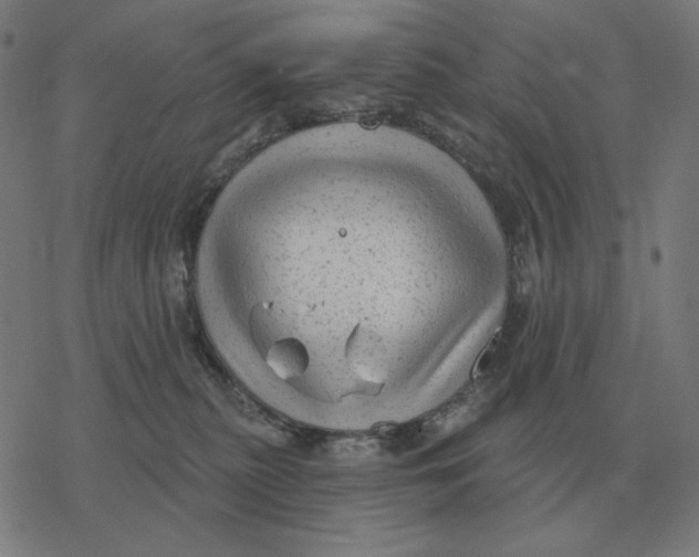 X0000077320279200611101506