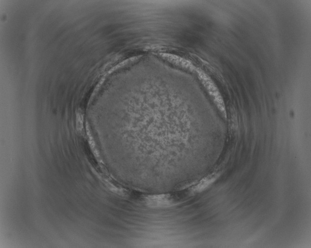 X0000077320281200611101506