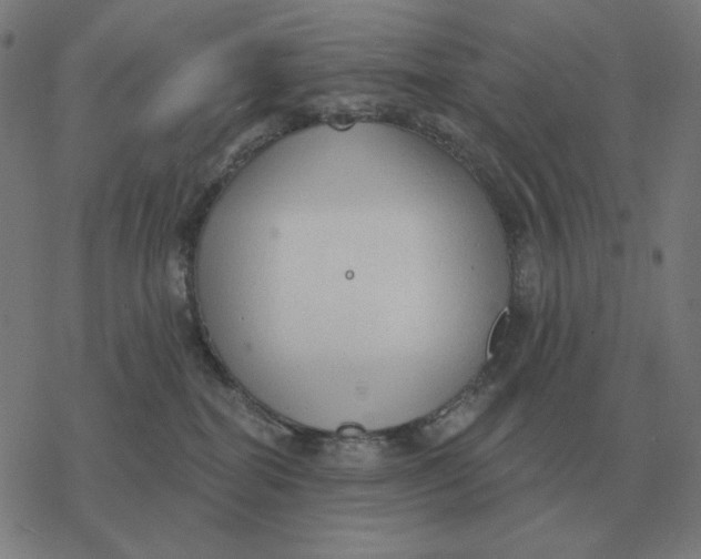 X0000077320282200611101506