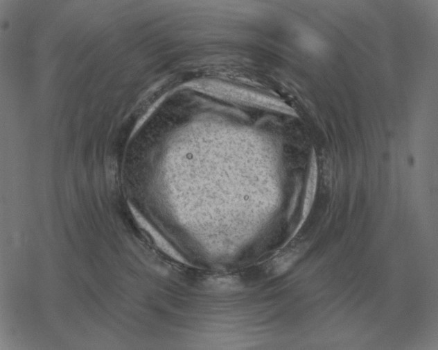 X0000077320283200611101506