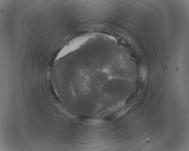 X0000077320284200611101506