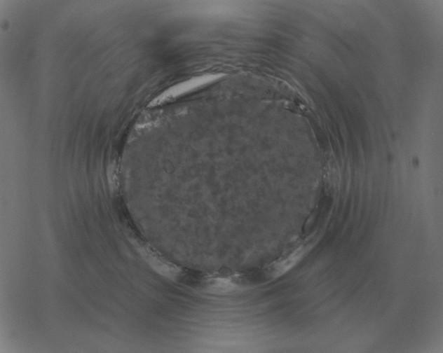 X0000077320285200611101506