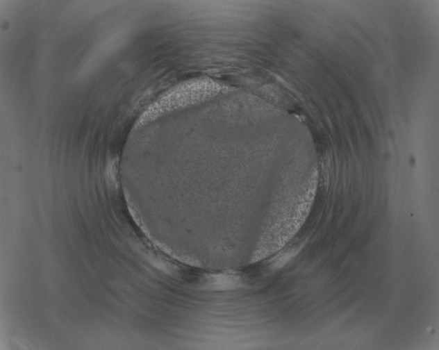 X0000077320286200611101506