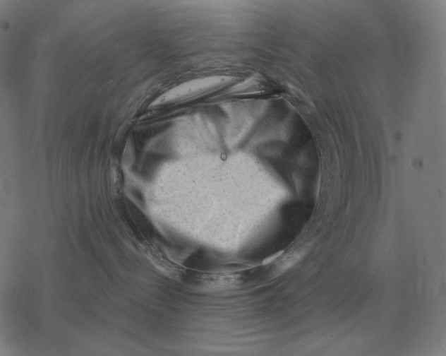 X0000077320288200611101506