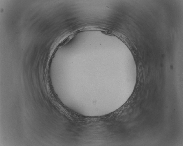 X0000077320289200611101505