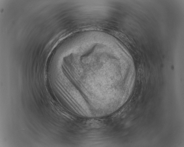 X0000077320290200611101505