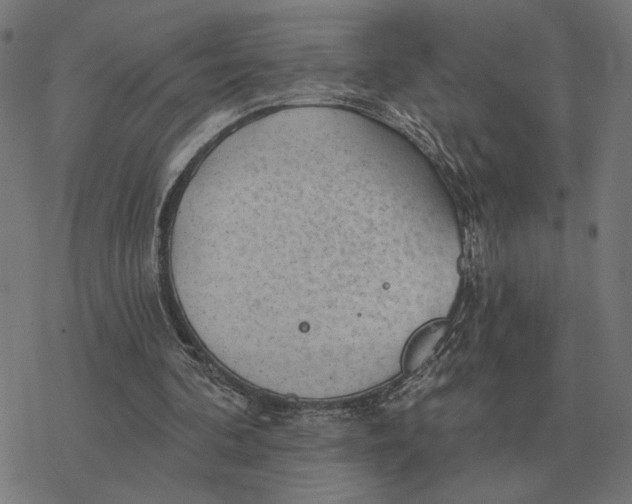 X0000077320292200611101505