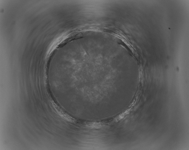 X0000077320293200611101505