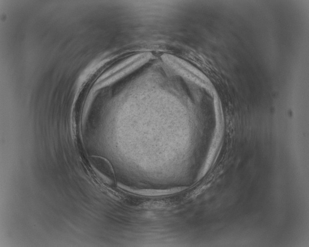 X0000077320294200611101505