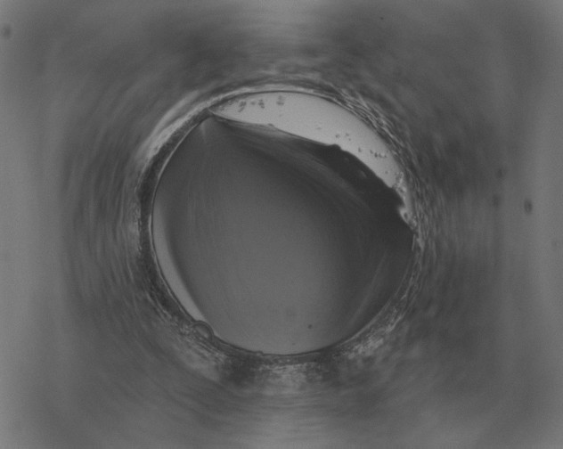 X0000077320295200611101505