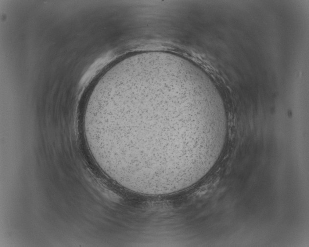 X0000077320296200611101505