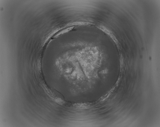 X0000077320297200611101505