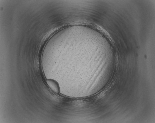 X0000077320298200611101505