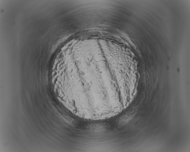 X0000077320299200611101505