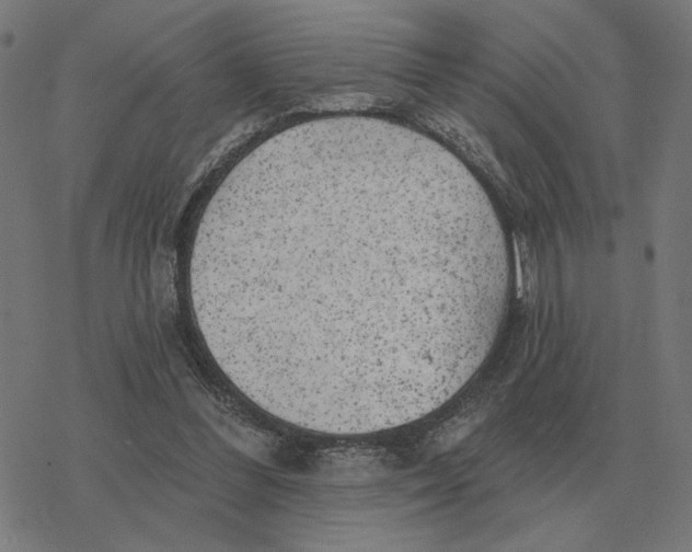 X0000077320300200611101505