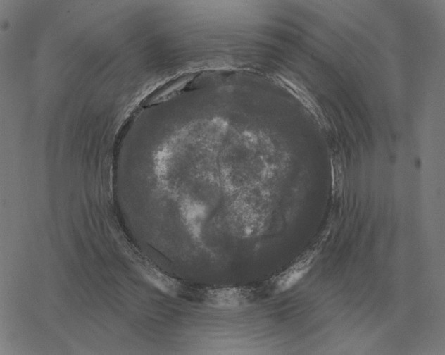 X0000077320301200611101505