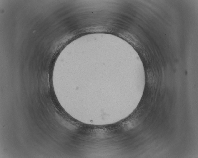 X0000077320302200611101505