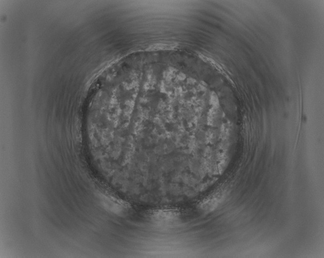 X0000077320303200611101505