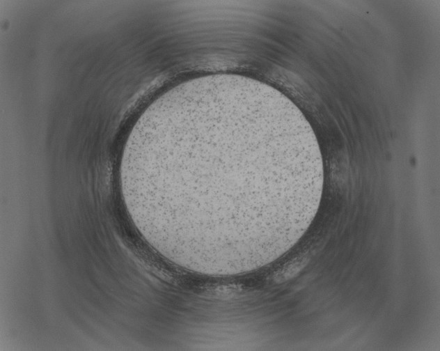 X0000077320304200611101505