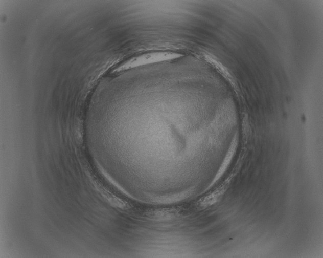 X0000077320305200611101505