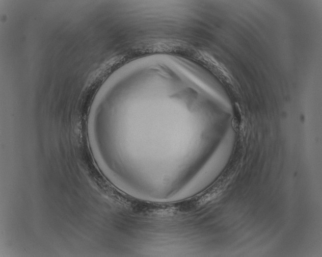 X0000077320306200611101505