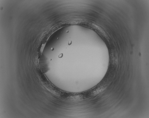 X0000077320307200611101505