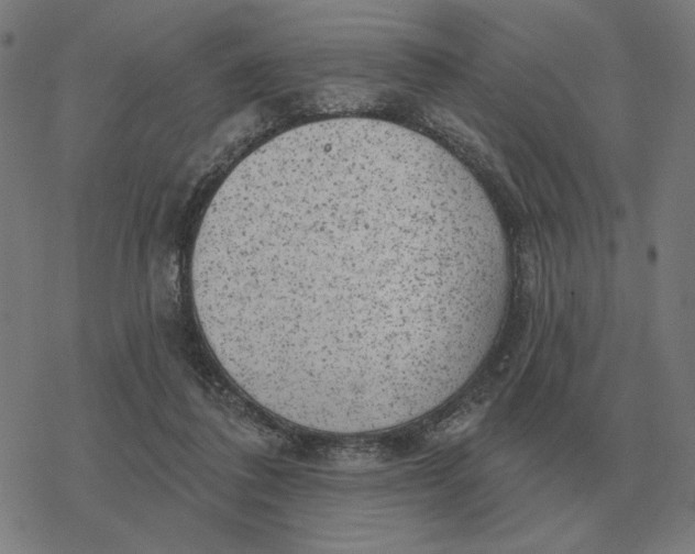 X0000077320308200611101505