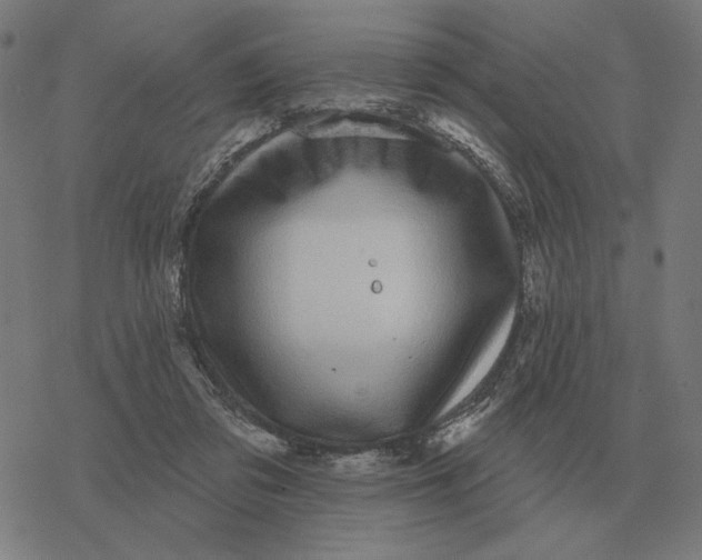 X0000077320309200611101505