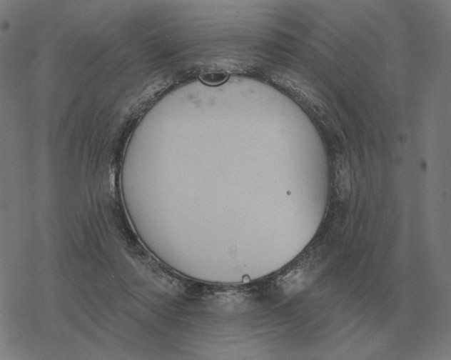 X0000077320310200611101505