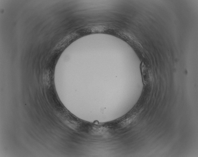 X0000077320311200611101505