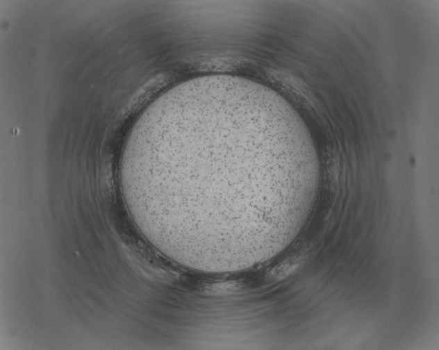 X0000077320312200611101505