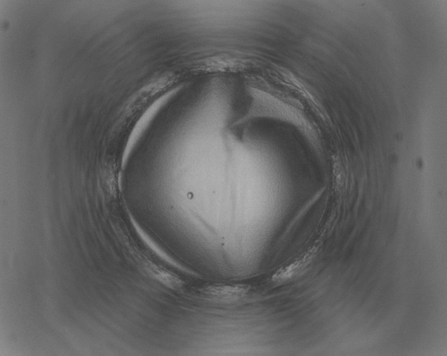 X0000077320313200611101505