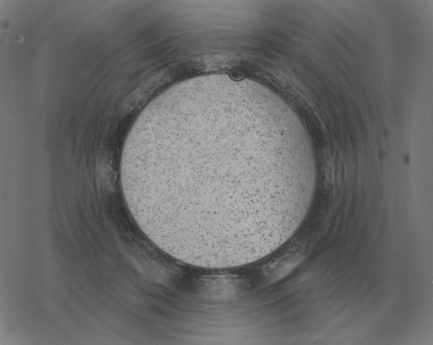 X0000077320316200611101504