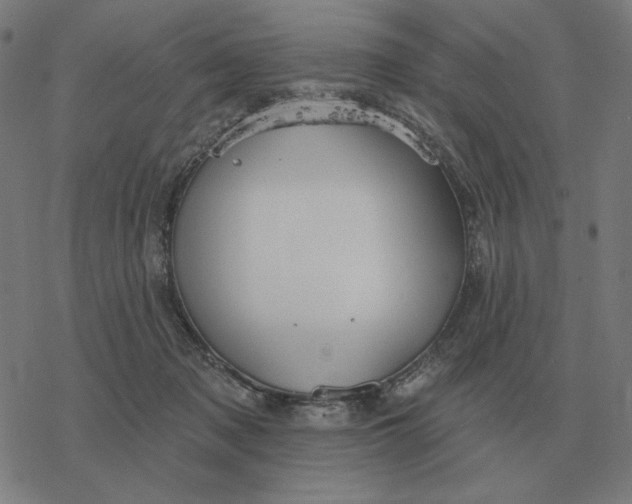 X0000077320317200611101504